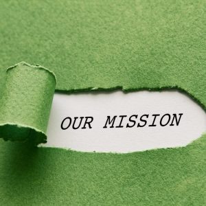 whatsapp image 2026 01 03 at 03.56.40